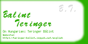 balint teringer business card